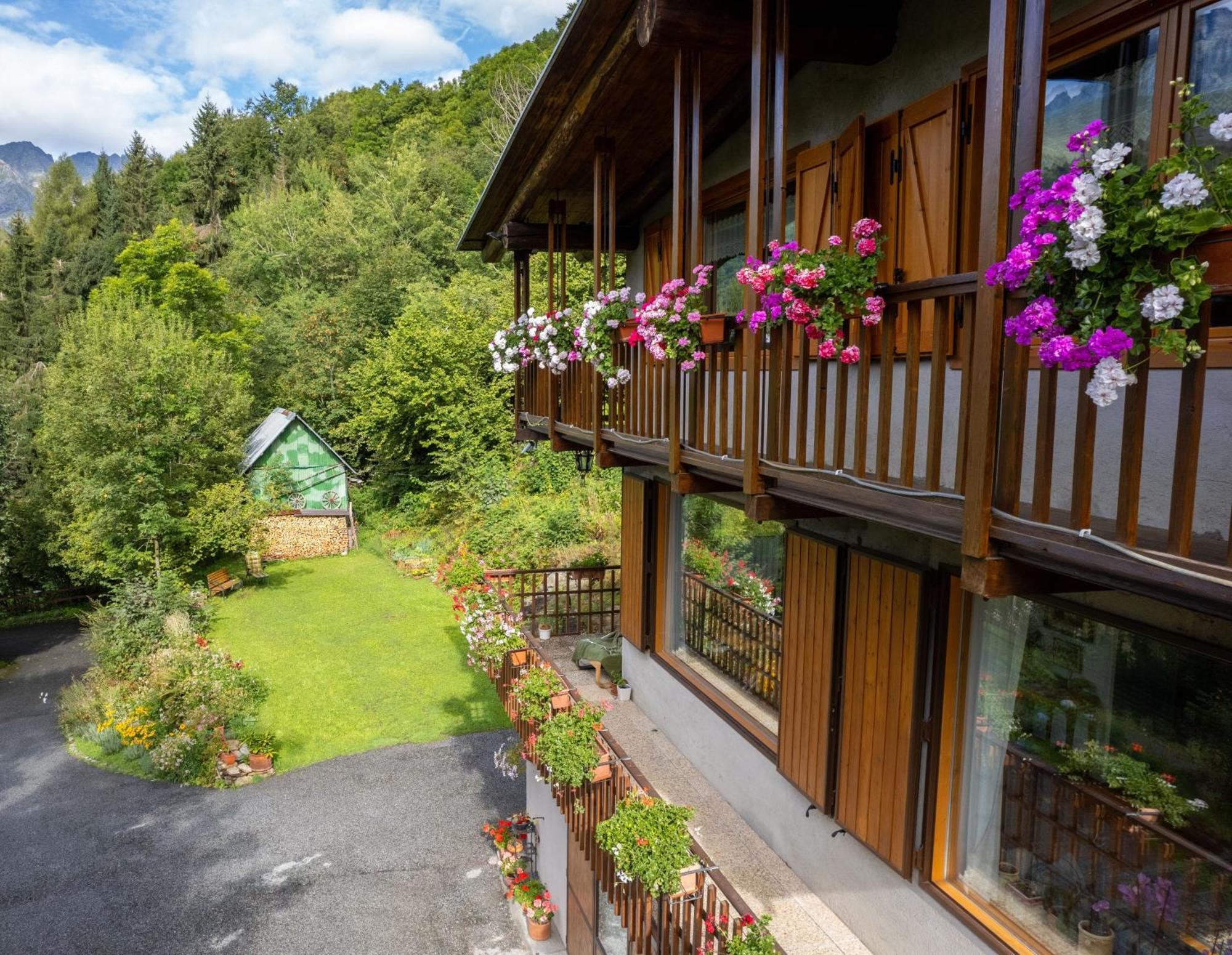 La Finestra Sul Monviso Apartamento Crissolo Exterior foto